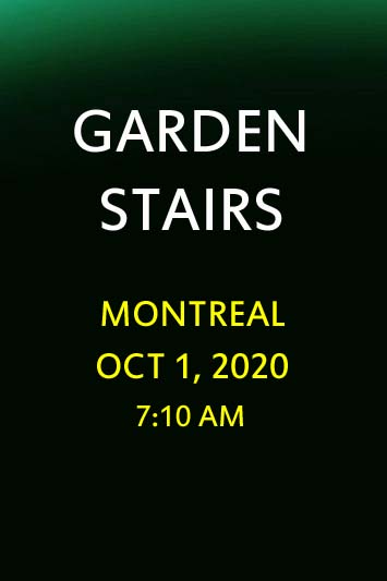 'Garden Stairs' by Jonny Olsen