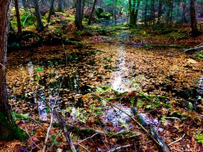  'Lovely, Dark and Deep' by Jonny Olsen