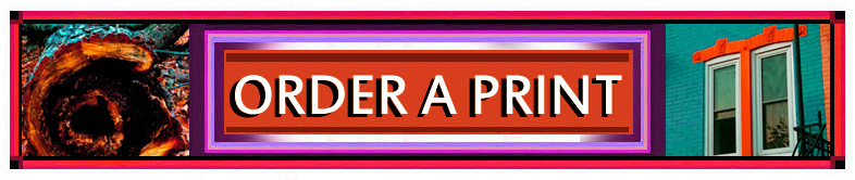 Order a Print